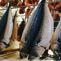 속초중앙시장 등푸른생선 고등어 33cm내외 맛있는 반건조생선 제수용 생선모듬 구이용생선, 고등어33cm내외