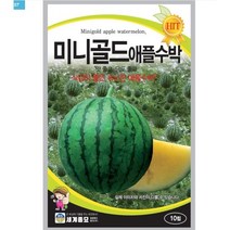 미니골드애플수박 10립 / 수박씨 수박씨앗 과일씨앗