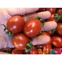 후니청과 신선한[특품] GAP 인증 대추방울 토마토1kg 2kg [국내산], 1box, 1kg(4등)