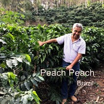 [위트러스트] 브라질 피치피치 500g Brazil Peach Peach/ 스페셜티 커피 원두, 더치(프렌치프레스)
