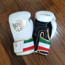 권투글러브 백 복싱 장갑 위닝 글러브 3 아바레즈NoBoxingNoLife, 04 14oz, 12 3층복합라텍스속싸개 화이트 매직 스티커