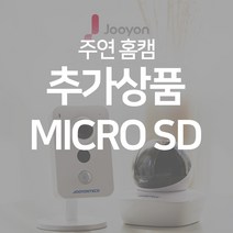 주연전자 2~300만화소 홈캠, (옵션2) MICRO SD 카드 64GB