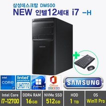 삼성 데스크탑 DM500 인텔 12세대 i7 + Win 10 / Win11 포함, 램16GB + SSD 512GB + HDD 1TB, Windows11 Pro, DM500TEZ i7 -H