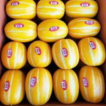 성주 꿀 참외 정품 선물용 3kg 5kg 10kg 로얄사이즈, 정품선물용 3kg 로얄사이즈