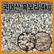 The큰나무 국내산 흑보리 보리쌀 검정보리, 1봉, 잡곡용 4Kg