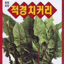 [가람종묘사] 적경치커리 씨앗(쌈 국거리 나물로 이용되는 채소)