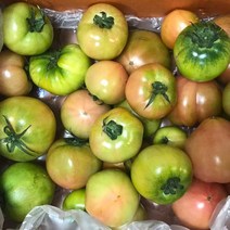 대저토마토 단짠단짠 짭쪼롬한 짭짤이/대저토마토/못난이 대저토마토 2.5kg, 1box, 못난이(주스용) 대저토마토 L~2S 2.5kg