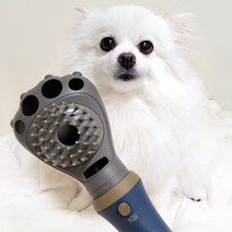 강아지 고양이 펫 드라이기 드라이룸