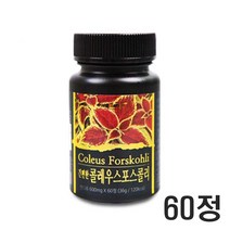 간편한 콜레우스 포스콜리 정 제 콜레우스 포스콜린 효능 콜레우스 포스콜리 추출물 분말 알약 타블렛 1일 2정, 1 Ee a