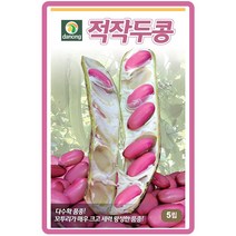 적작두콩 5립 / 텃밭작물 가정원예 식물기르기 주말농장 곡물종자