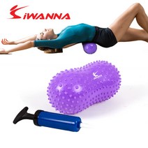 MDF4169 i워너278 미니 땅콩 짐볼 펌프포함 땅콩볼/짐볼/요가볼/필라테스