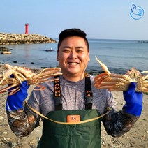 제철 대게 홍게 자숙 박달 연지 붉은 포항 구룡포 선주직송, [신선출발]홍게(자숙찜), 박달형연지홍게 3kg_수율 90% 내외