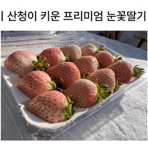 신데렐라딸기 만년설딸기 백딸기 흰딸기 산청 1kg, 2팩(500gx2)