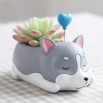 ROOGO 루고 다육이 미니화분 잠자는 강아지 허스키 (다육식물 불포함)