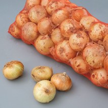 세상모든농부 신선한 국산 햇 양파 자색양파 적양파, 01. 햇 양파 중소 3kg