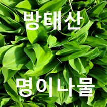 인제명이나물2kg/ 강원도 인제군 방태산/ 1인농부 직배송