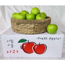 아오리 사과 대과 청사과 여름 햇사과 경북사과 2.5kg 한입(17-22과) 추석 명절 남여노소 어르신 건강비타민C