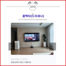 없음 [반값화분] MAIN-대형콤팩타130(드라세나) 직접배송 축하화분 개업화분 거실화분 카페화분 인테리어화분 아레카야자 극락조 알로카시아 파키라 고무나무, 백자고깔