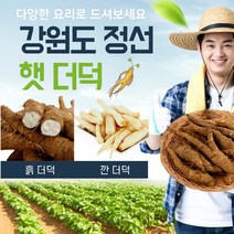엄마표밥상 더덕 깐더덕 더덕구이 맛있는 건강 반찬 강원도 정선 산 국산 손질 햇 야생 선물 세트 1kg, 1개, 1kg/탐스러운 (상/15cm내외)사이즈