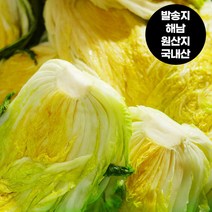 싱싱한 국내산 절임배추, 20kg, 화요일출고 수요일 도착