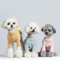 도매창고 애견옷 터틀넥 목폴라 캐주얼 강아지옷 가을옷 겨울옷 올인원 반려동물 애견의류 코튼 티셔츠 CP124, CP124-그레이
