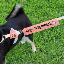 댕냥라이프 대형견 중형견 강아지 리드줄 산책 네임택 반려견 인식표 (주문제작), 블루