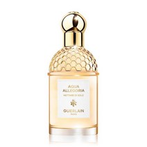 겔랑 아쿠아 알레고리아 네타레 디 쏠 75ml