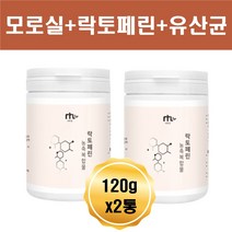 모로오렌지 락토페린 농축 분말 엠비피 모로실 파우더 블러드 오렌지 자몽 레몬밤 그린커피빈 와일드망고종자 추출분말 유산균사균체 여름 단기 대비 등 뒷태