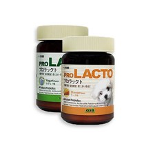 프로 강아지 장건강 영양제 프로락토 치즈맛 120g