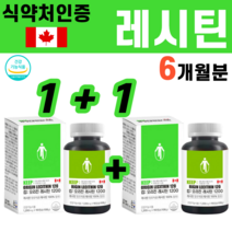 레시틴 Lecithin 대두 식물성 영양제 포스파티딜콜린 포스파티딜세린 NON GMO 콜레스테롤 아세틸콜린 콜린 인지질 캡슐 PS 피에스 집중력 식약처인증 캐나다산