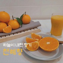제주 산지직송 제철 고당도 천혜향 선물용 3kg 5kg, 부직포가방, 중과5kg(21-30과)