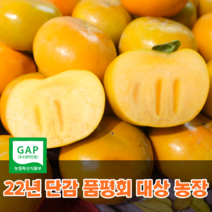 [22년 단감품평회 대상 수상] 씨없는단감 진영 부유 경남 햇 고당도 창원단감, 10kg_대(41~45내외)