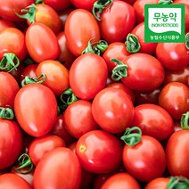 친환경무농약토마토5kg 추천 TOP 6