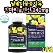 월경전 생리 전 영양제 달맞이기름 증후군 X 약 3개월 콜레스테롤 혈행 개선 효능 면역과민반응 통심할때 달맞이꽃종자유 감마리놀렌산 여성 중년여성