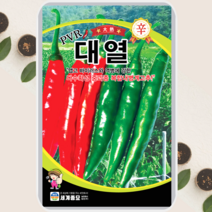 청양고추씨앗 PVR대열 100립 고추 종자 매운고추, 1봉