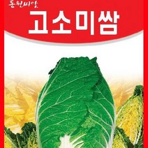 [가람종묘사] 고소미쌈배추 씨앗(속이 노랗고 수분함량이 적어 고소한 맛이 좋은 배추 품종), 1개