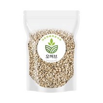 수입산 홍화씨 홍아씨 홍화자 500g, 1개, 단품
