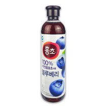 청정원 홍초 블루베리 100% 자연발효초900ml, 본상품선택, 1