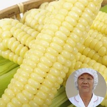 괴산에서 제일빠른수확_햇괴산대학 찰옥수수 냉동/생물2가지, 햇생물 괴산대학찰옥수수10개선물용최상품(박스)