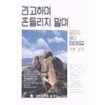 견고하며 흔들리지 말며, 네비게이토