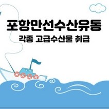 포항만선수산 킹크랩 수입대게 국산대게 박달대게 대게 대게찜 1kg~, 불포함