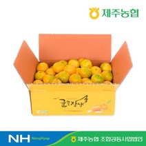 [쇼핑엔티] [제주농협] 귤로장생 GAP 하우스 햇 감귤 4kg, 없음