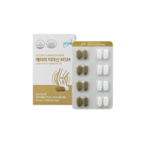 애터미 터마신 MSM 128정 x 1통