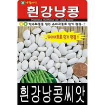 [워터트리몰] 채소 종자 재배 씨앗 흰강낭콩씨앗(600g) (A)