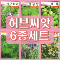 허브 씨앗 6종 세트 (로즈마리+바질+레몬밤+페퍼민트+라벤더+카모마일) 23년생산