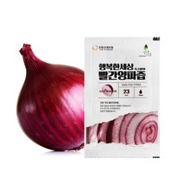 성내식품 100% 진한 자색양파즙 양파 껍질째 달여 낸 빨간양파즙 60팩, 100ml