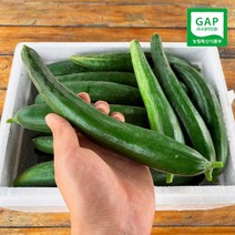 세상에 없던 단맛 나는 스낵오이 클로렐라 못난이 F1미인오이 1.5kg/3kg/5kg, 클로렐라 못난이 F1 미인오이 3kg, 1박스