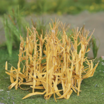 동아측기 포레스 디오라마 나무모형 모형나무, 옥수수 옐로 3.5~4cm 5p