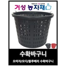 수확바구니 오미자 오디 블루베리바구니, 레드, 1개