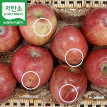 GAP 친환경 저탄소인증 산지직송 경북 영주 사과 부사 못난이사과 흠과 3kg (9~13과)